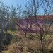 Sabareni, teren construibil 2040 mp, stradal cu utilitati